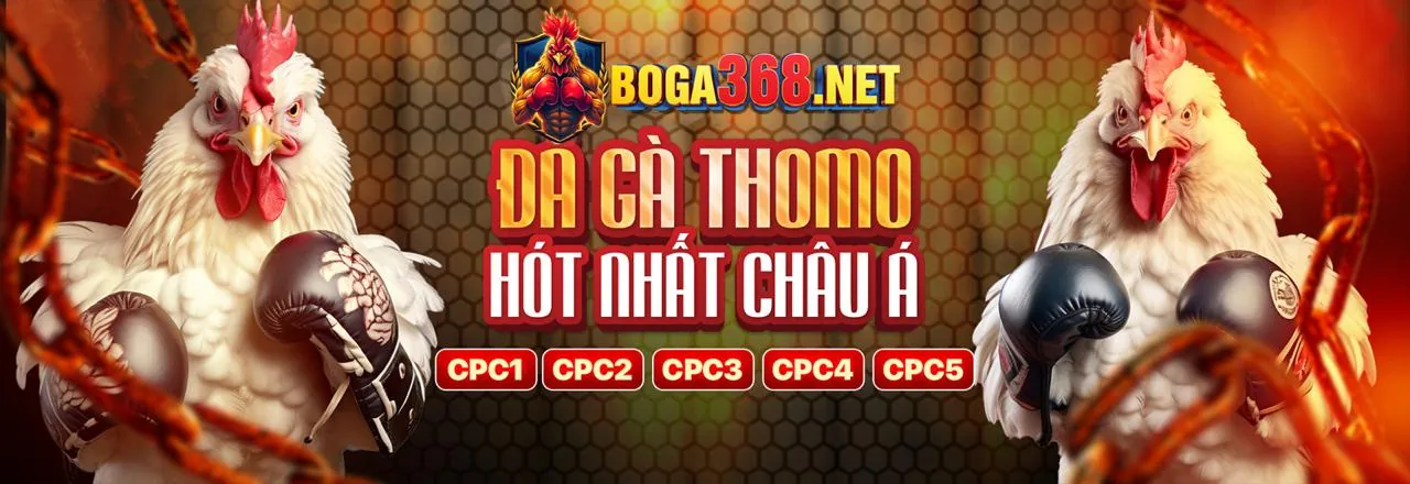 Đá gà trực tuyến Kbet Link Vào 2026